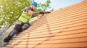 Best Green or Eco-Friendly Roofing Solutions  in Lake Magdalene, FL