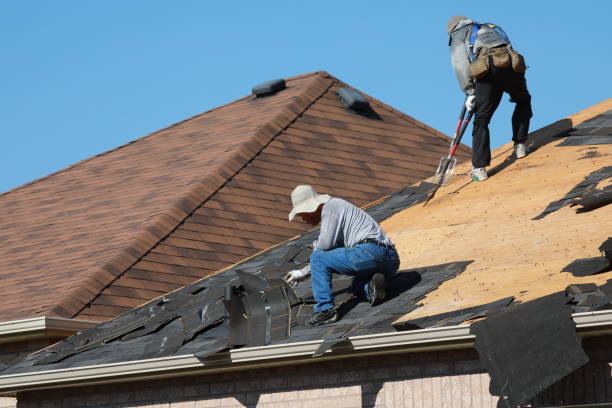 Best Tile Roofing Installation  in Lake Magdalene, FL