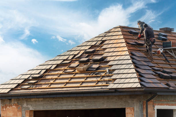 Best Gutter Installation and Repair  in Lake Magdalene, FL