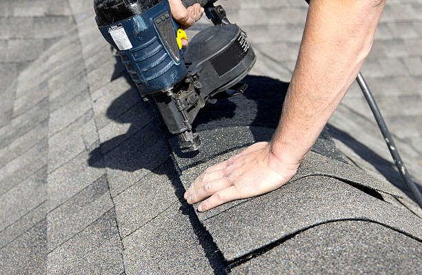 Best Asphalt Shingle Roofing  in Lake Magdalene, FL